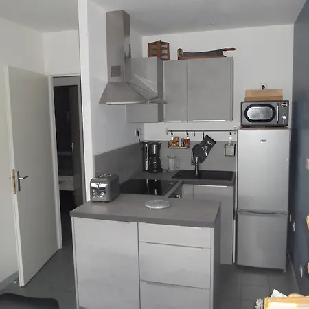 4 Pers, Acces Direct Plage, Terrasse Au Soleil - Fr-1-482-150 Apartment